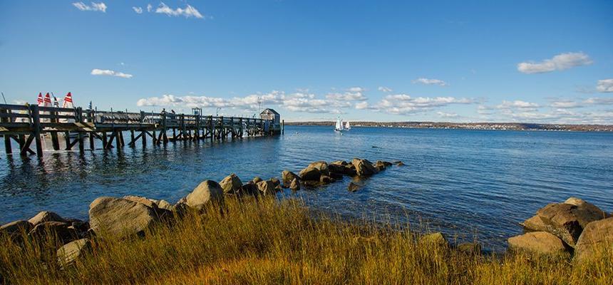 Water by dock